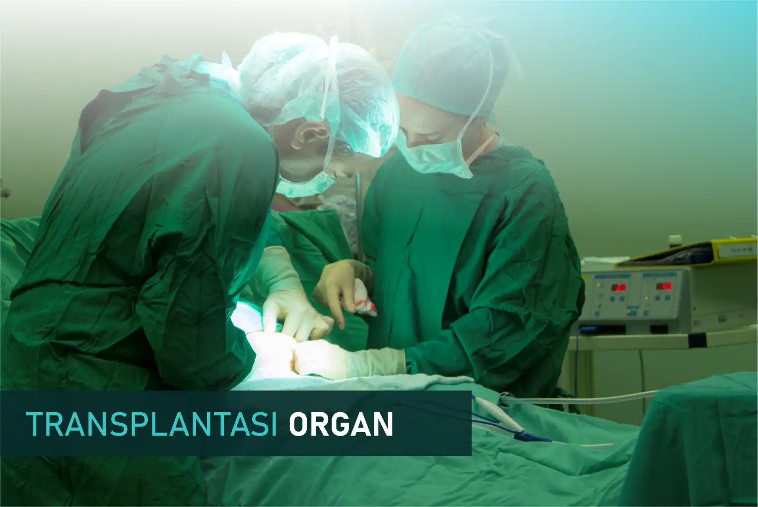 Gambar Konten Transplantasi Organ